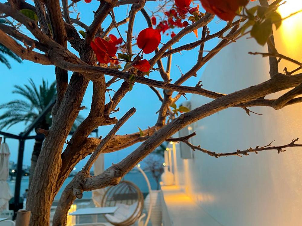 Lassion Golden Bay Отель